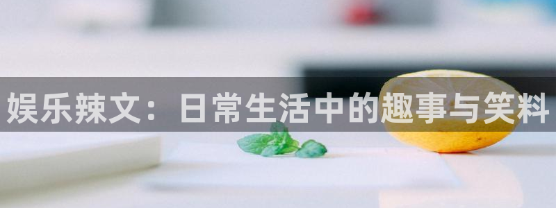 摩根娱乐