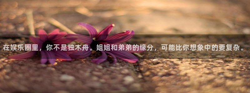 摩根娱乐：在娱乐圈里，你不是独木舟。姐姐和弟弟的缘分，可能比你想象中的要复杂。