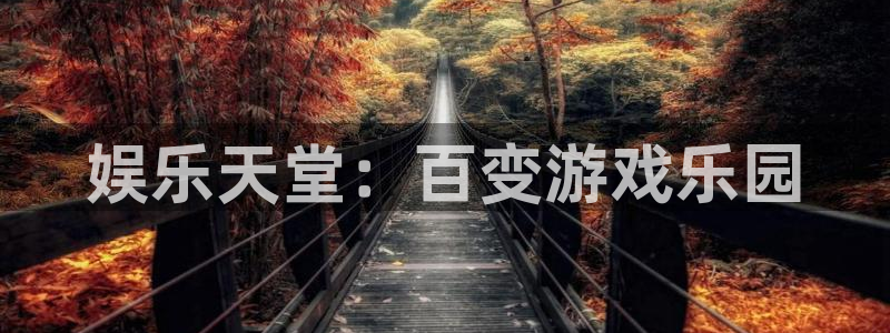 摩根娱乐：娱乐天堂：百变游戏乐园