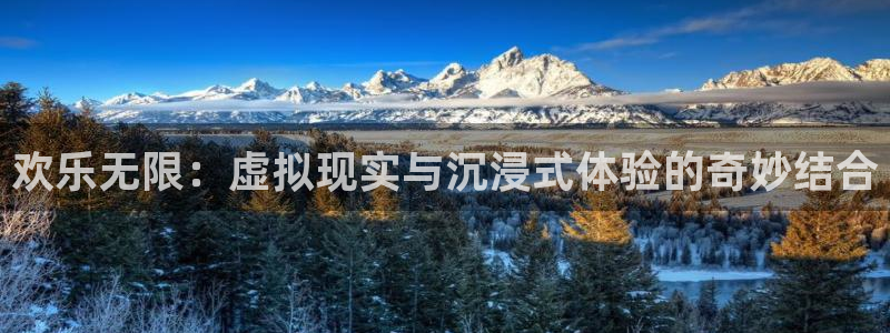 摩根娱乐：欢乐无限：虚拟现实与沉浸式体验的奇妙结合