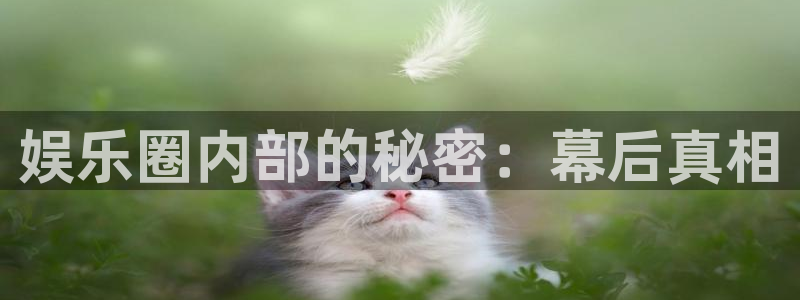 摩根娱乐：娱乐圈内部的秘密：幕后真相