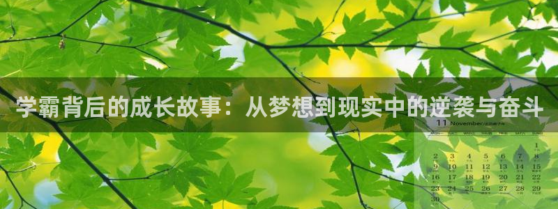 摩根娱乐：学霸背后的成长故事：从梦想到现实中的逆袭与奋斗