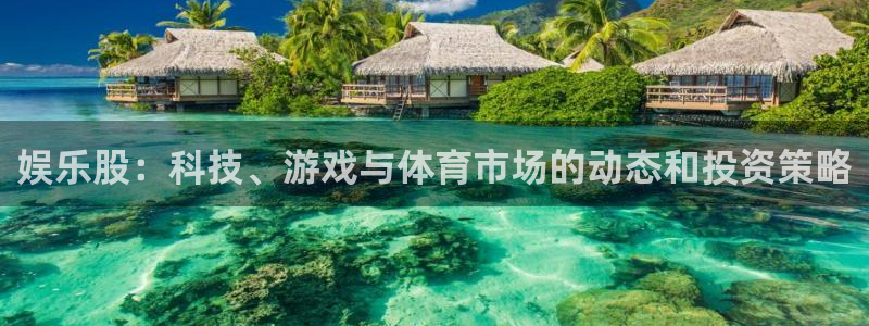 摩根娱乐：娱乐股：科技、游戏与体育市场的动态和投资策略