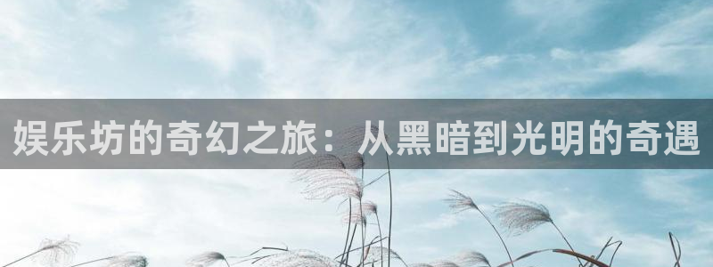 摩根娱乐：娱乐坊的奇幻之旅：从黑暗到光明的奇遇