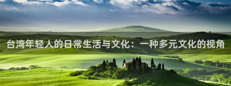 摩根娱乐：台湾年轻人的日常生活与文化：一种多元文化的视角