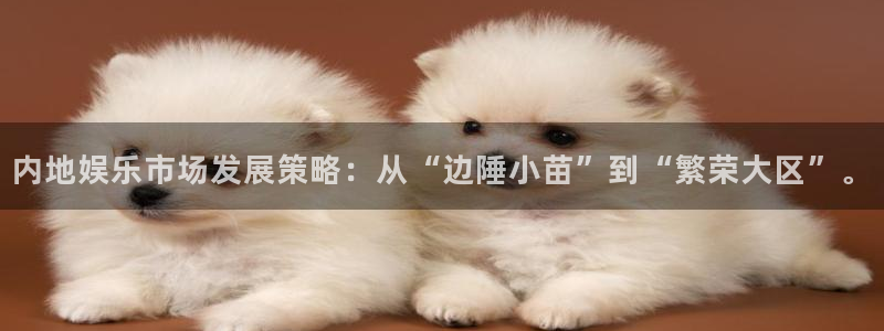 摩根娱乐：内地娱乐市场发展策略：从“边陲小苗”到“繁荣大区”。