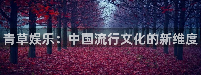 摩根娱乐：青草娱乐：中国流行文化的新维度
