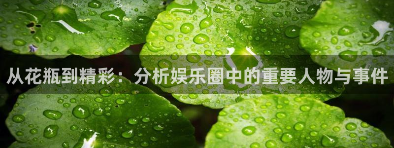摩根娱乐：从花瓶到精彩：分析娱乐圈中的重要人物与事件