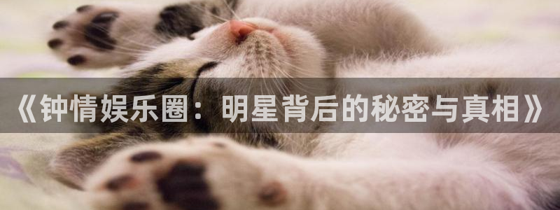 摩根娱乐：《钟情娱乐圈：明星背后的秘密与真相》