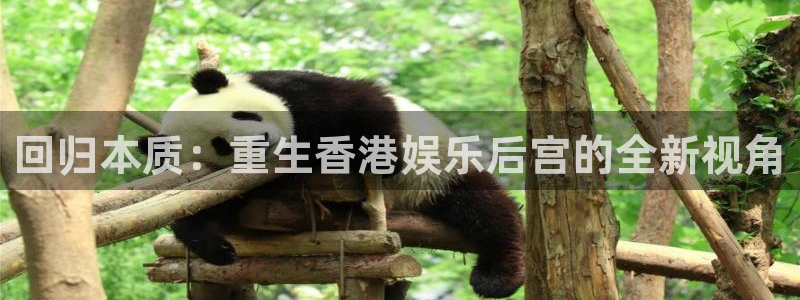摩根娱乐：回归本质：重生香港娱乐后宫的全新视角