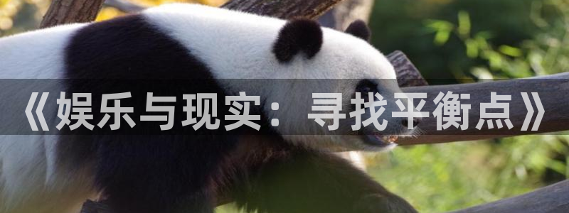摩根娱乐：《娱乐与现实：寻找平衡点》