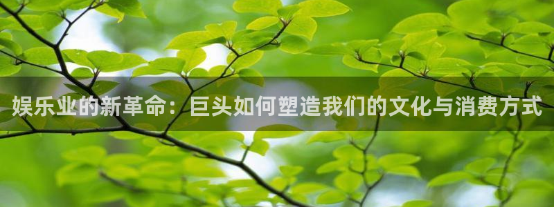 摩根娱乐：娱乐业的新革命：巨头如何塑造我们的文化与消费方式