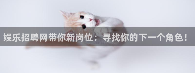 摩根娱乐：娱乐招聘网带你新岗位：寻找你的下一个角色！